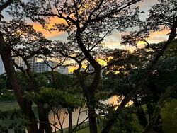 The Tre Ver (D13), Condominium #608405831